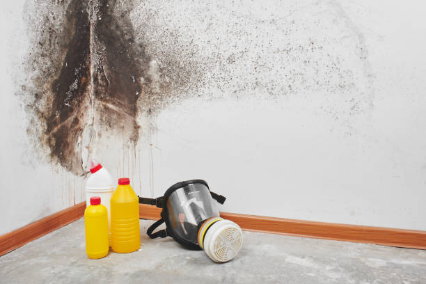 Little Round Lake, WI Mold Removal Company