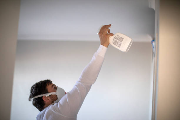 Best Office Mold Removal Services  in Little Round Lake, WI