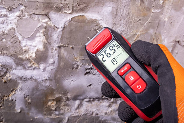 Best Crawl Space Mold Removal  in Little Round Lake, WI