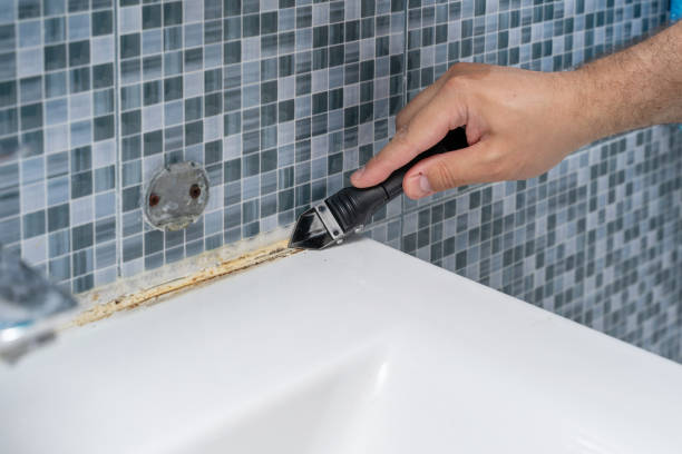 Office Mold Removal Services in Little Round Lake, WI